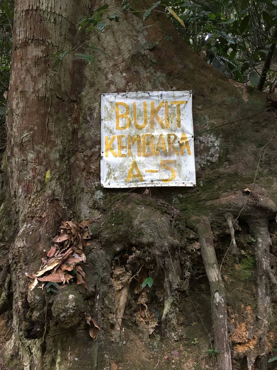 Vertical photo