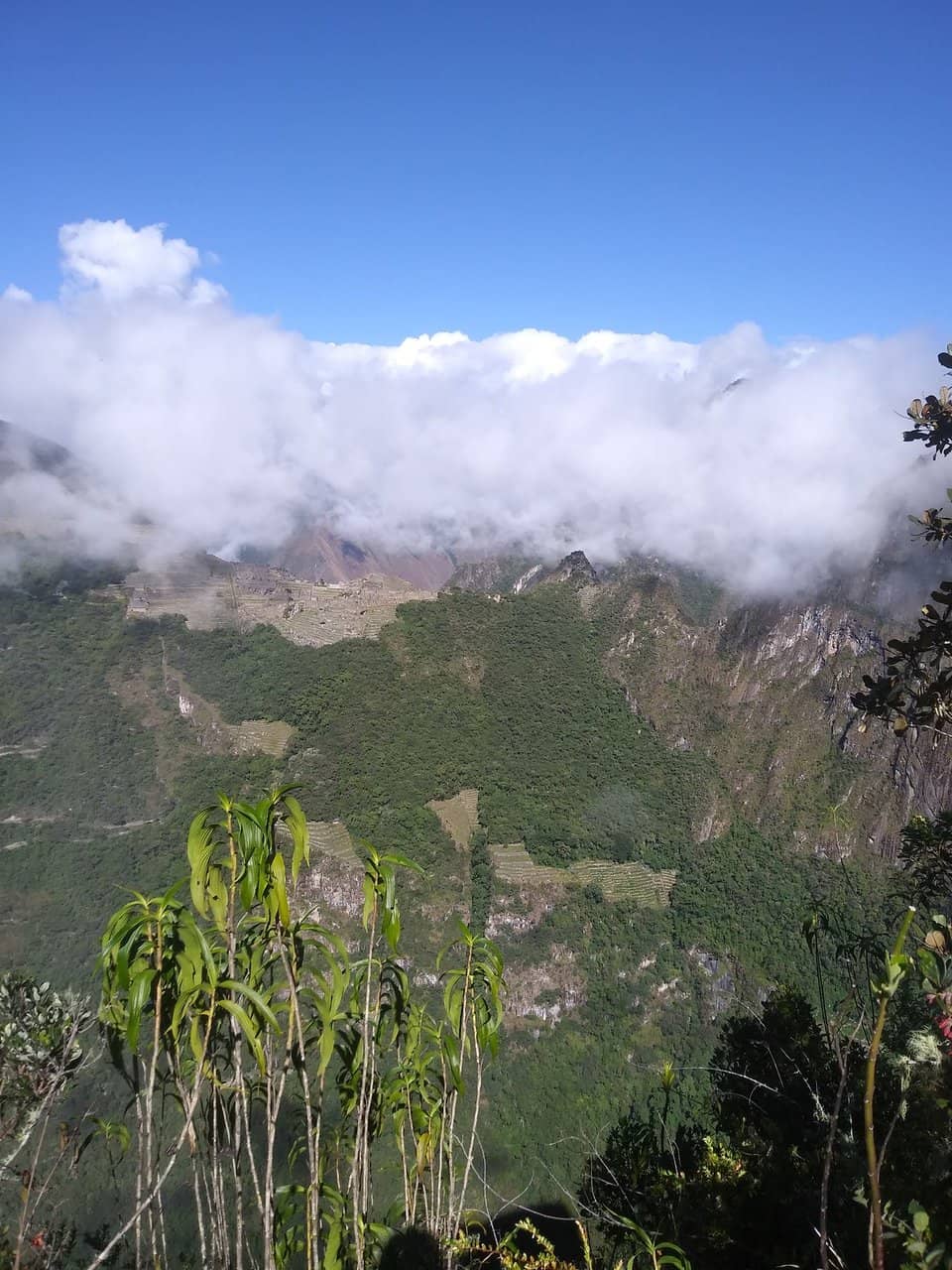 Challenging Ladder Ascents