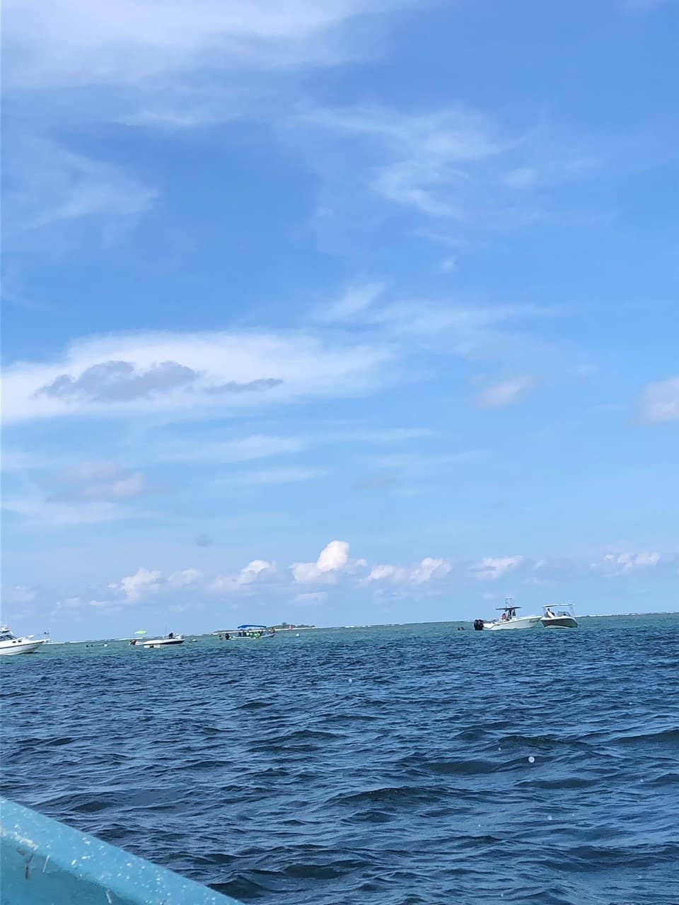 Snorkeling with Abundant Fish