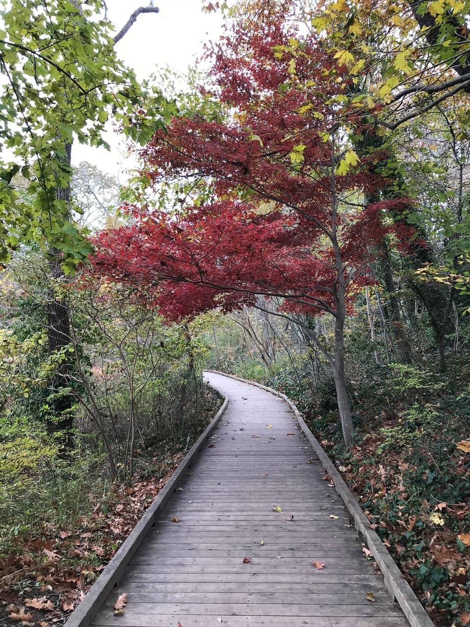 Vertical photo