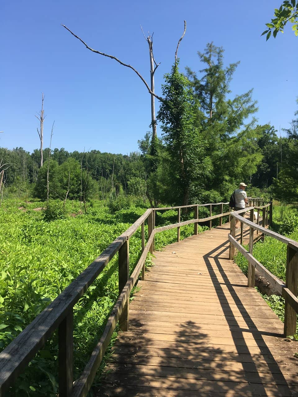 High-Altitude Scenery