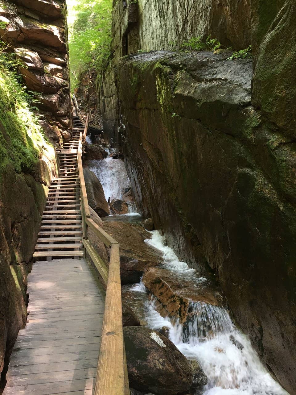The Basin