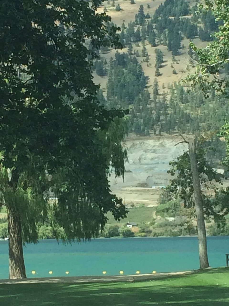 Family-Friendly Picnic Spots