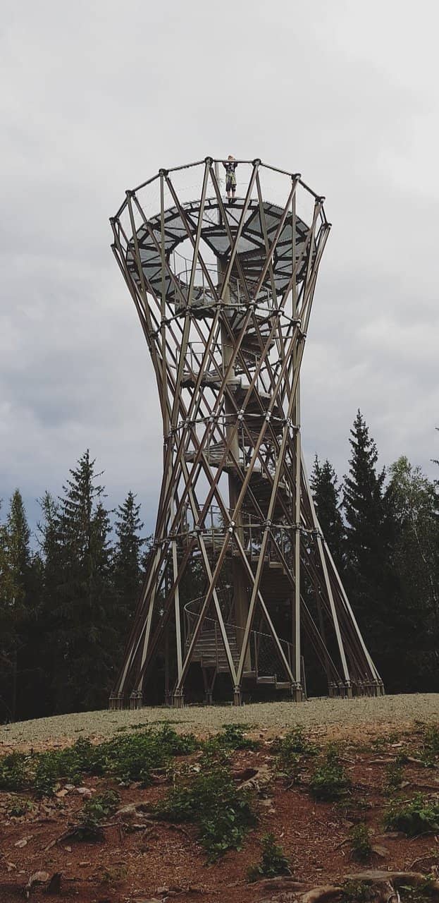 Forest Hiking Trails