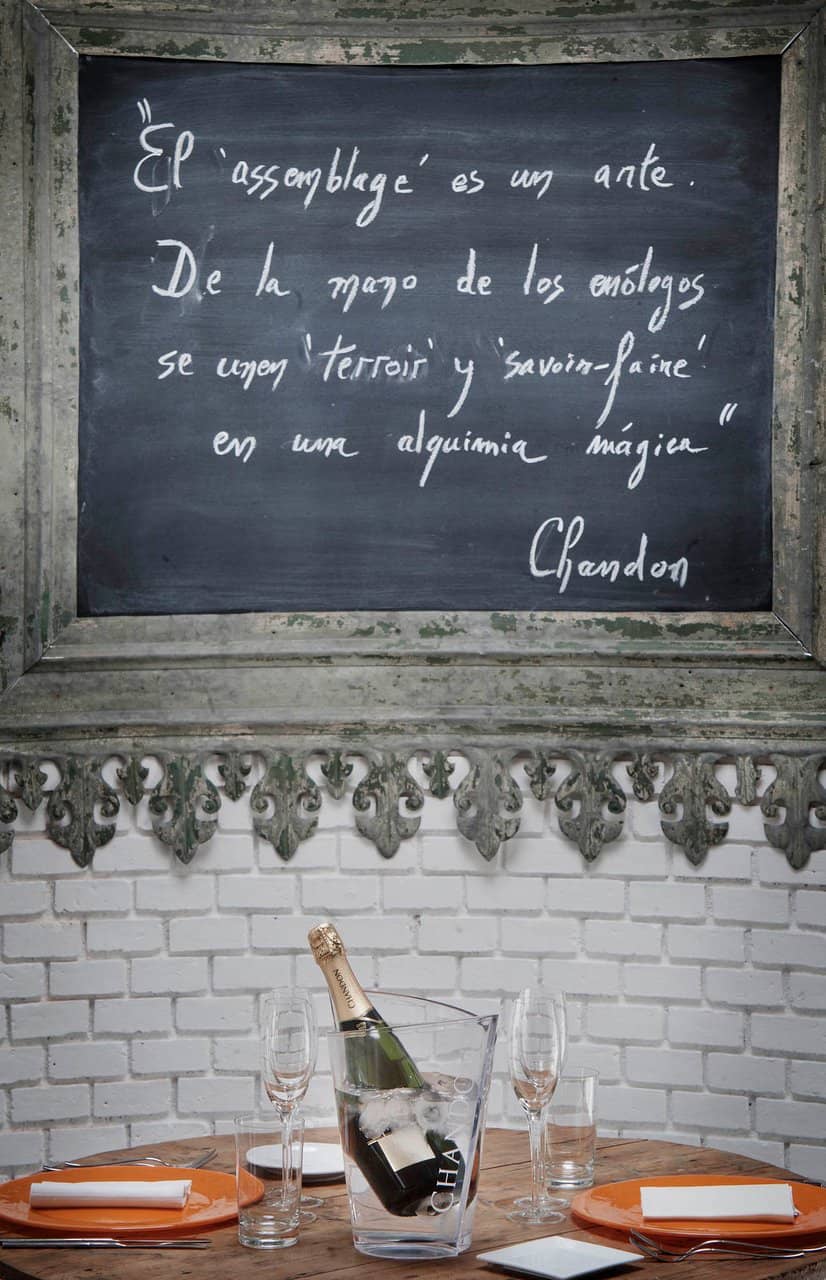 Wine Tasting Experience