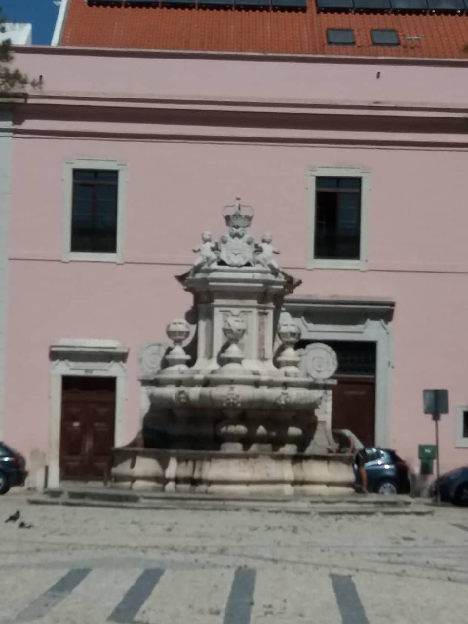 Vertical photo