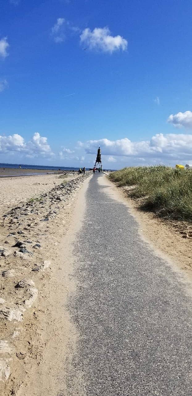 Shell Collecting by the Sea