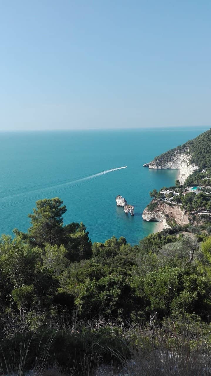 Torre di San Felice Viewpoint
