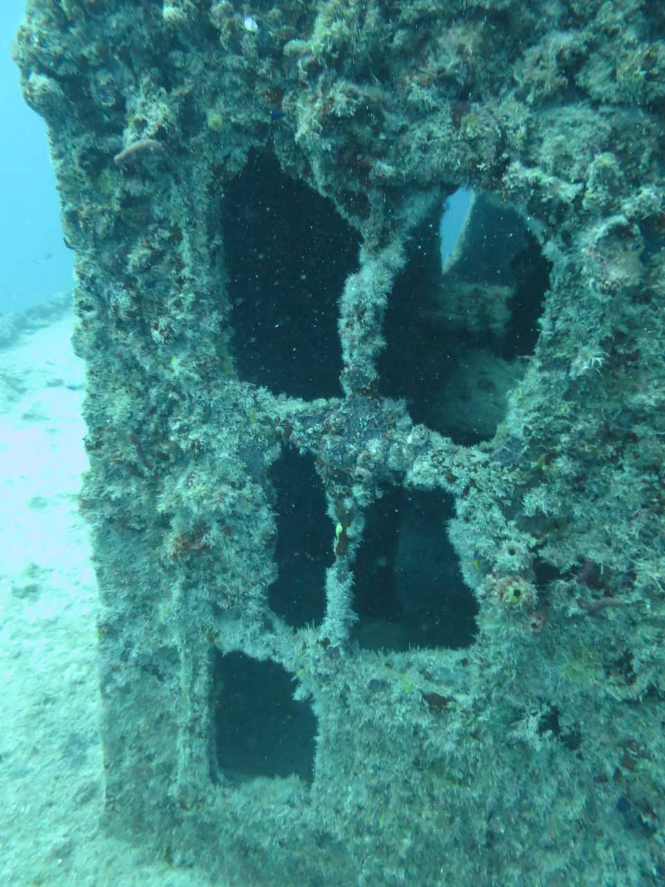 Vertical photo