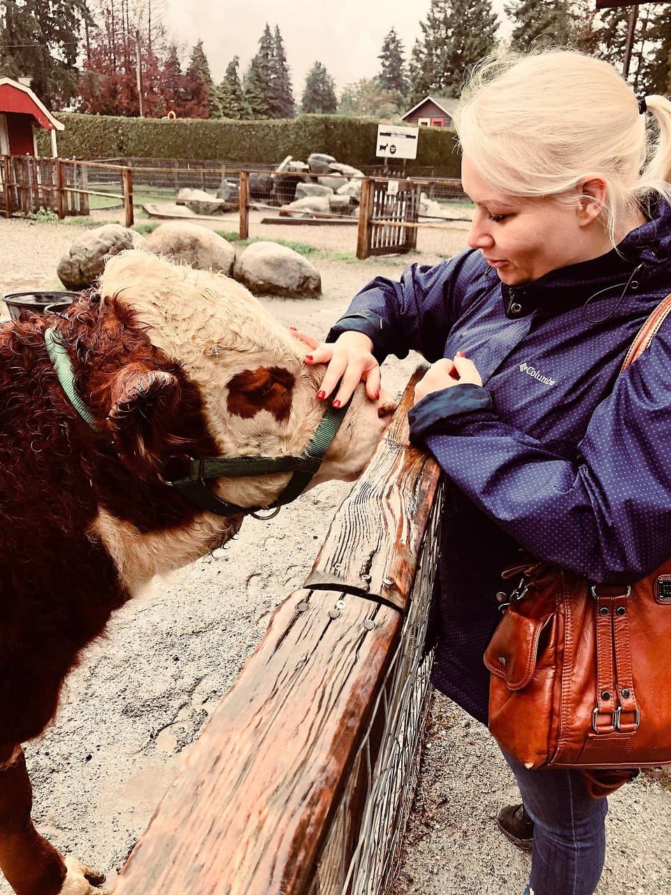 Interactive Feeding