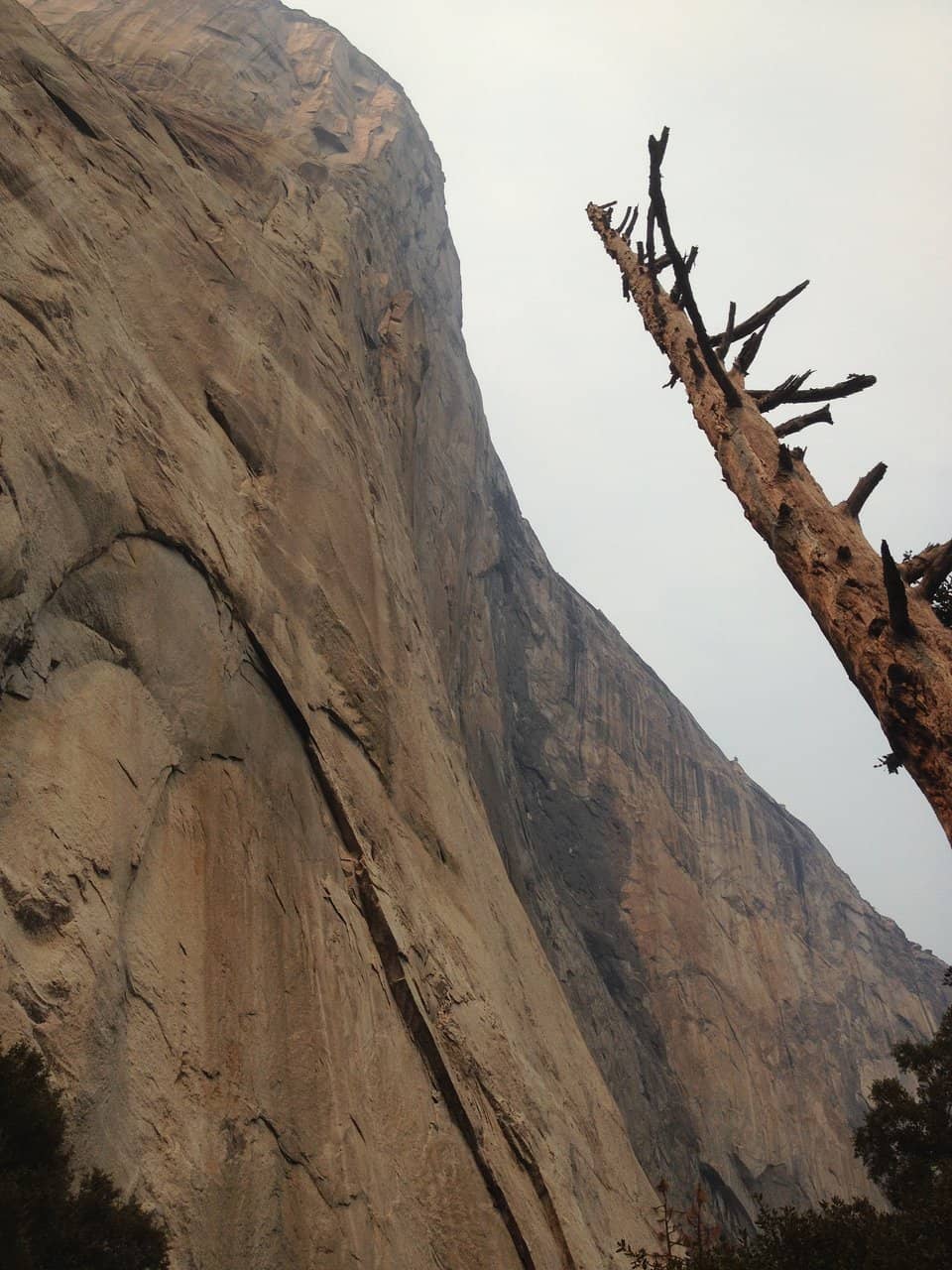 Witnessing Climbers in Action