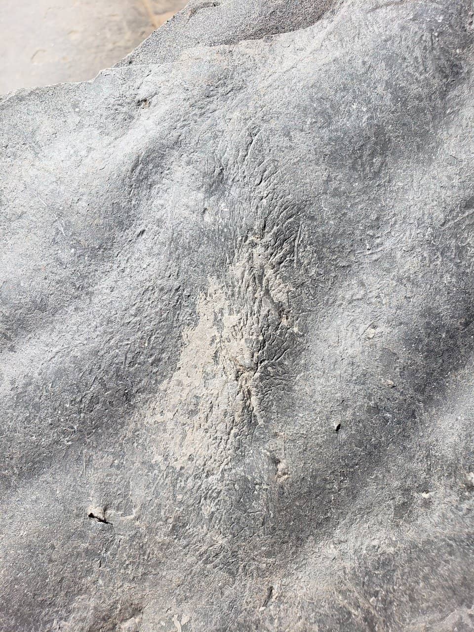 Dramatic Cliff Vistas