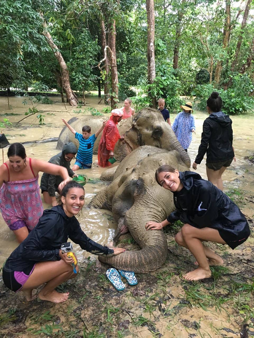 Learn About Elephant Welfare