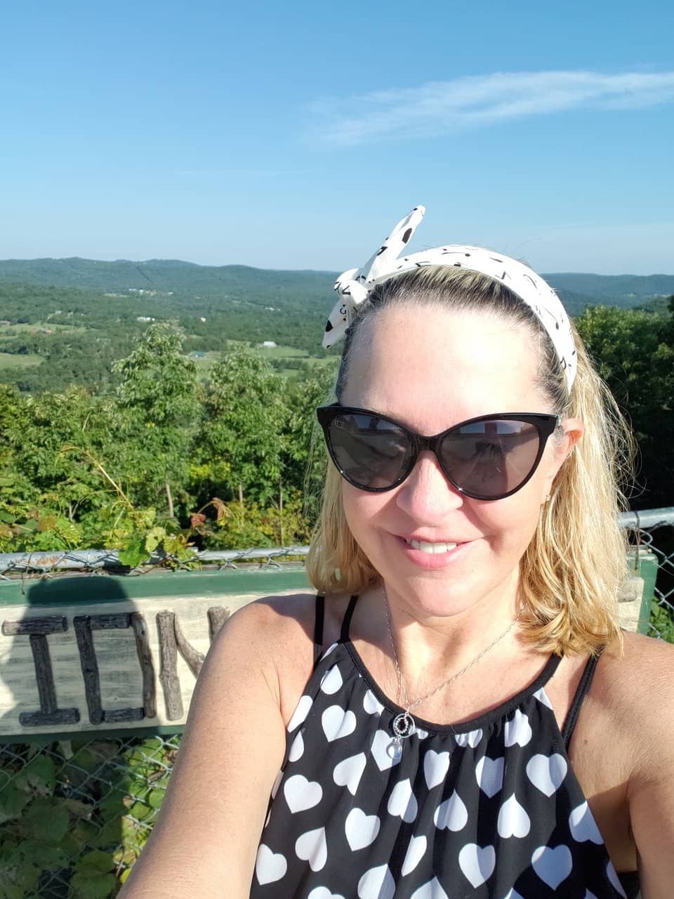 Panoramic Ozark Views