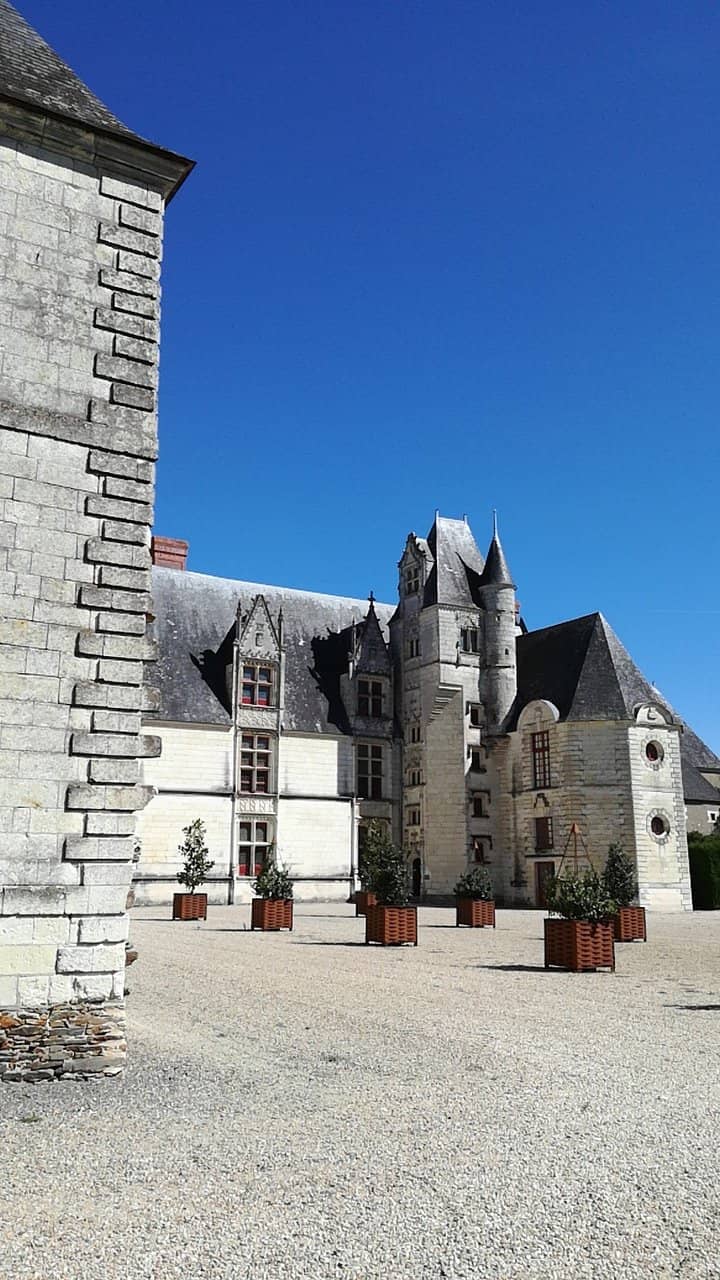 Festive Christmas Transformations