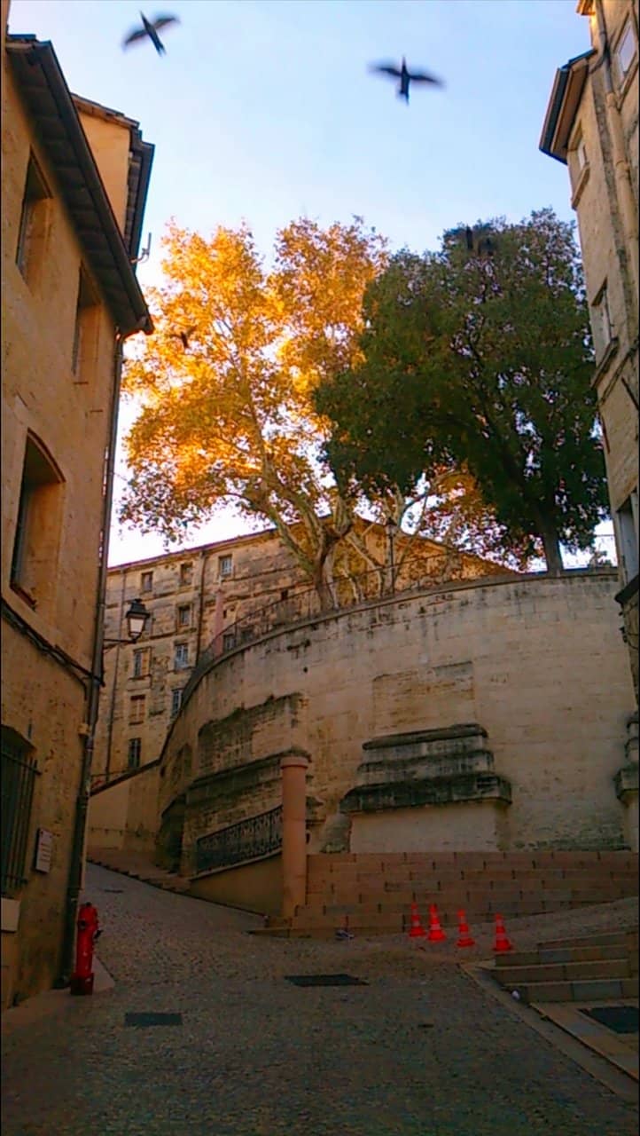 Vertical photo