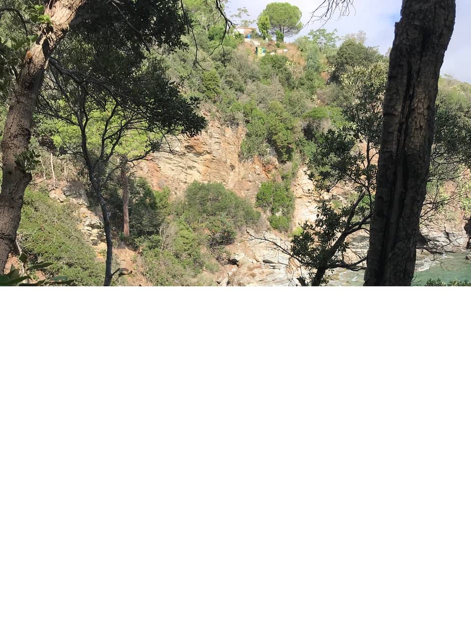 Crystal Clear Waters