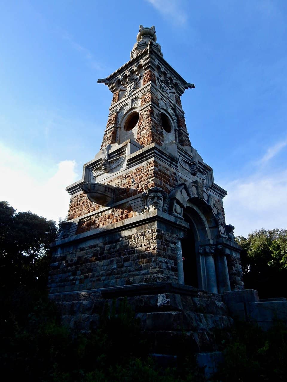Serene Pine Forest Trail