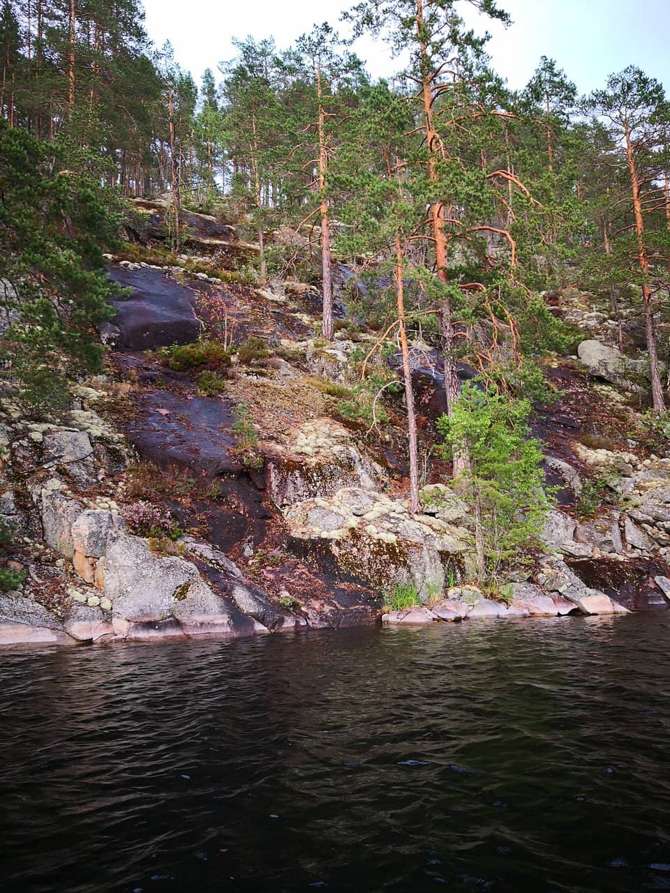 Vertical photo