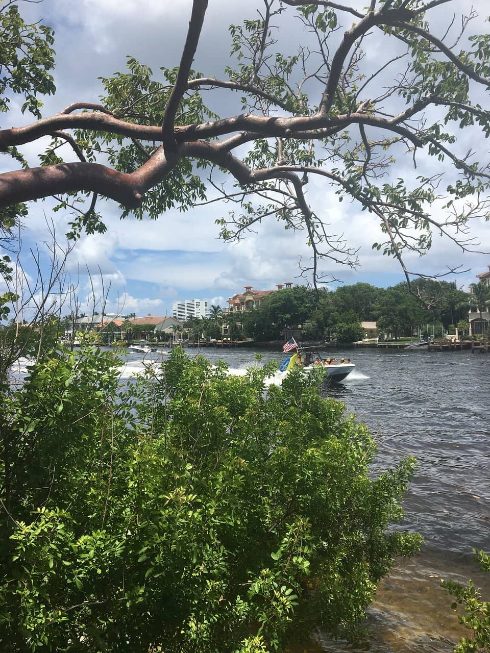 Mangrove Nature Trails