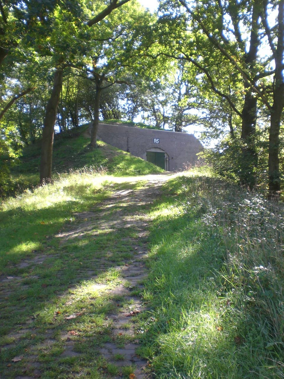 Picturesque Nature Walks