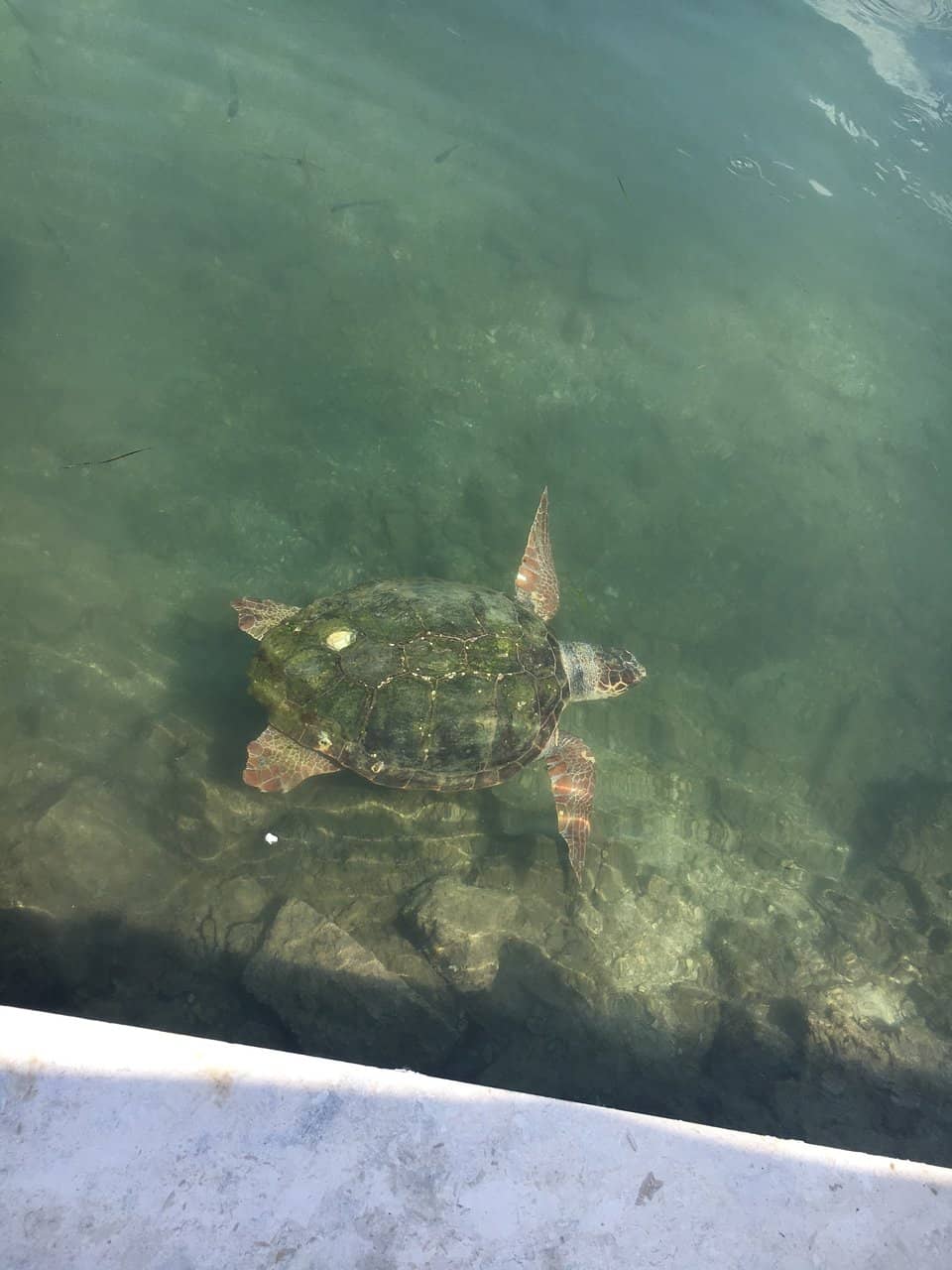 Peaceful Lagoon Stroll