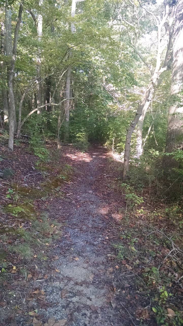 Kayaking and Water Views