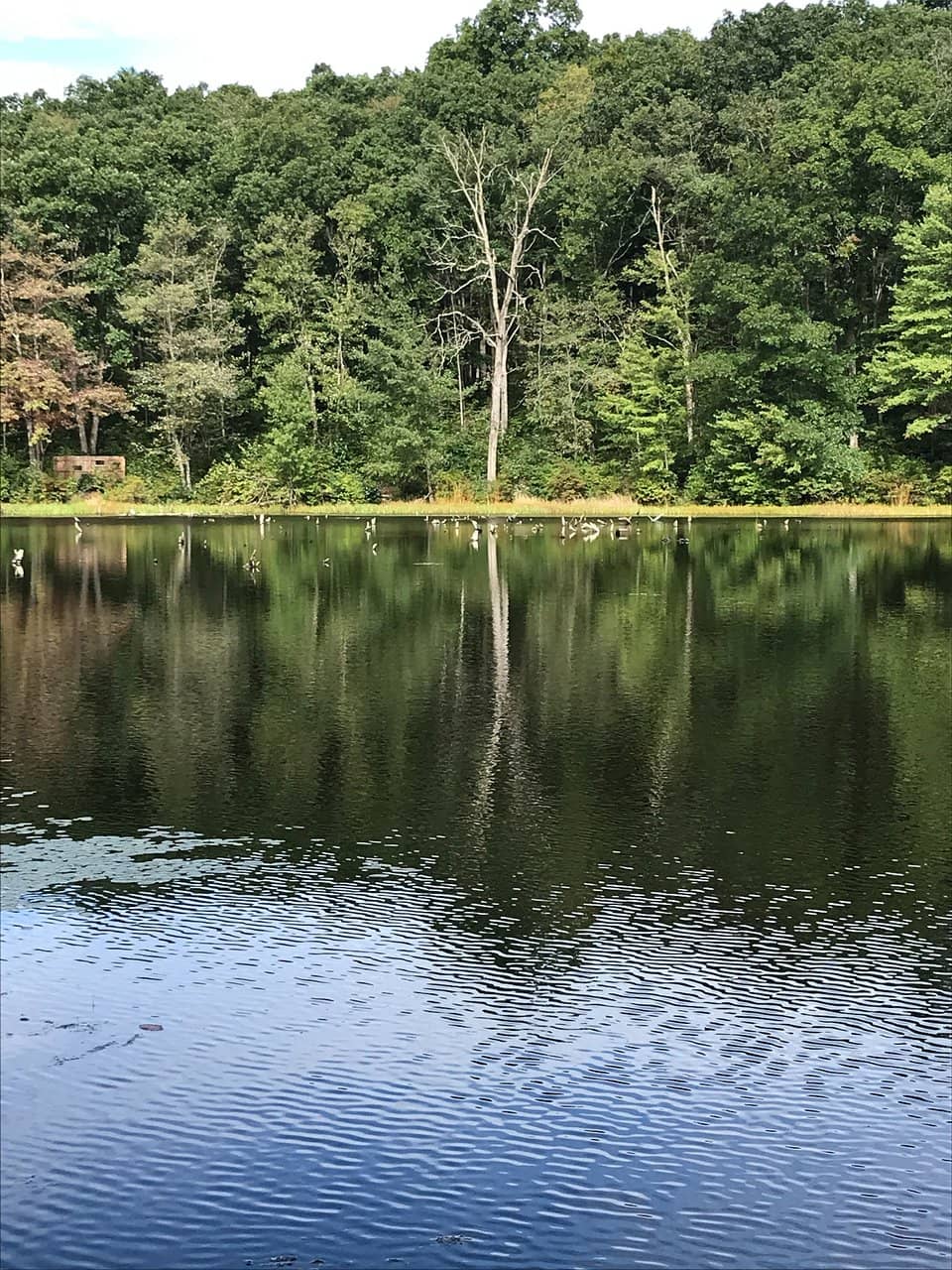 Environmental Education Center