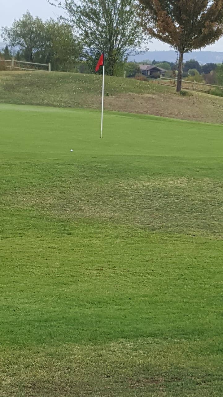 Photogenic Bridges and Water Features