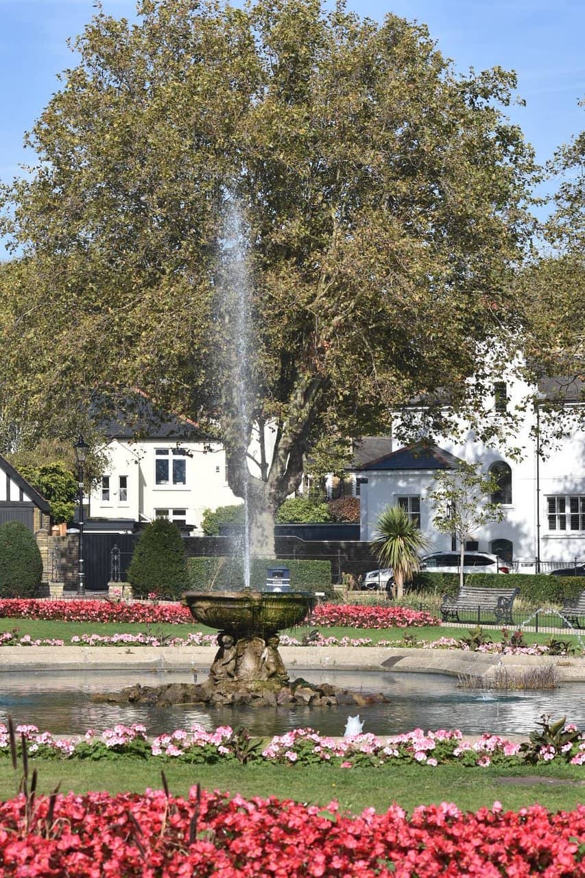 Tranquil Atmosphere