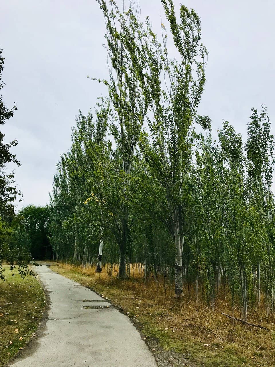 Wetlands and Trails