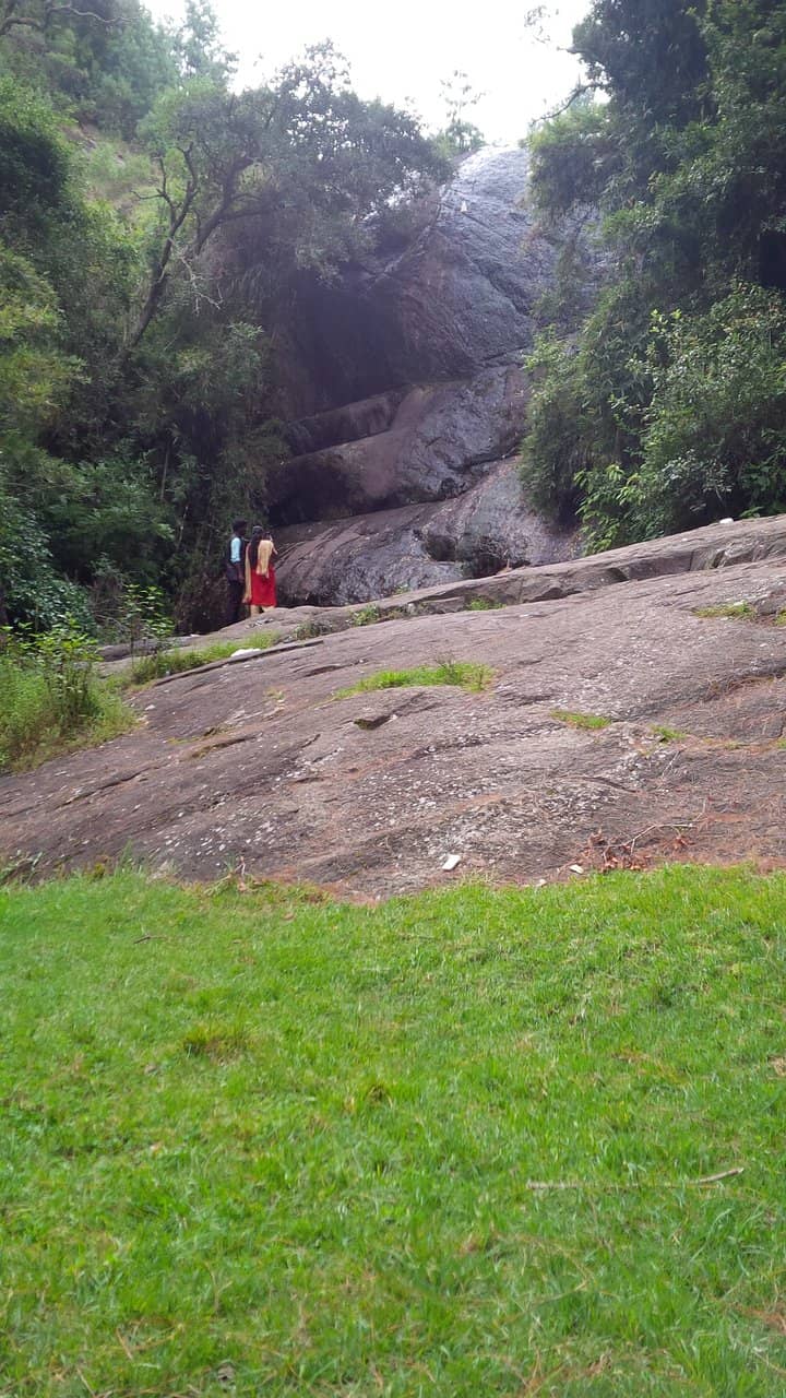 Forested Hiking Trail