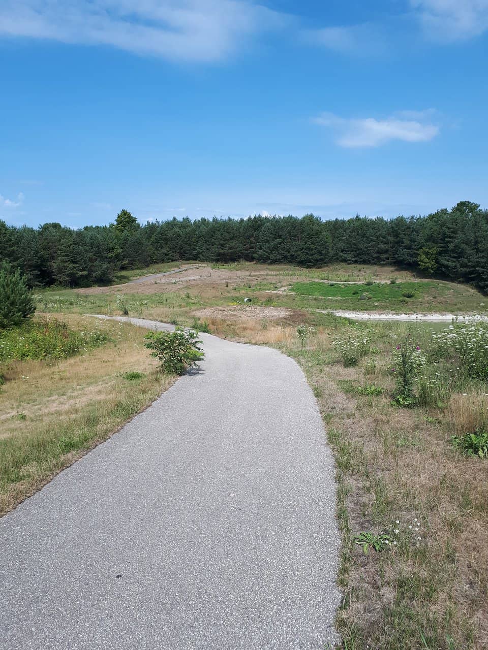 Adaptive Mountain Biking