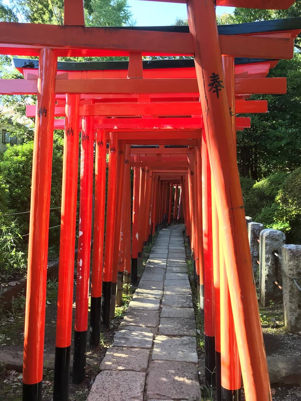 Street Photography Opportunities