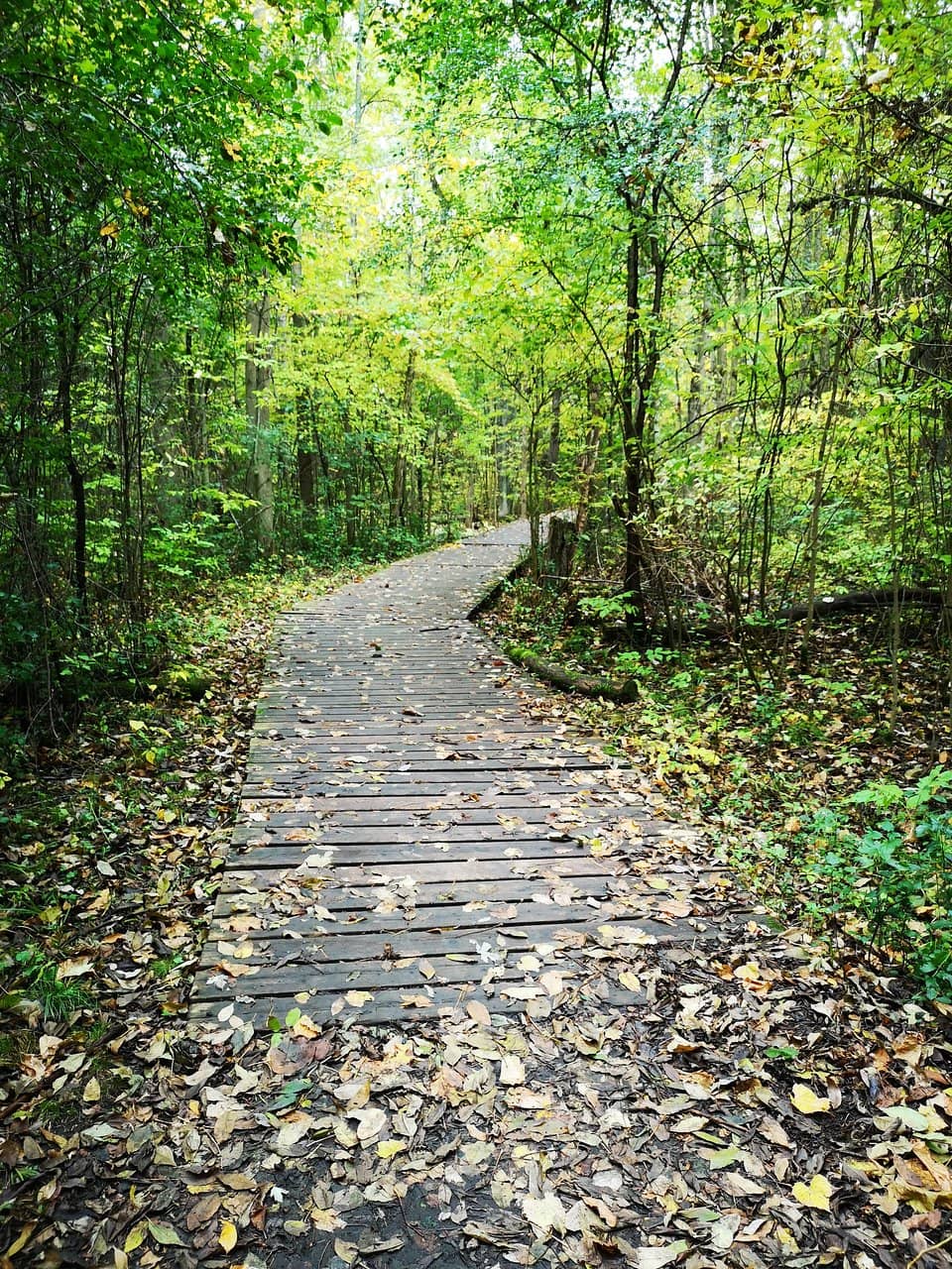 Scenic Views and Seating
