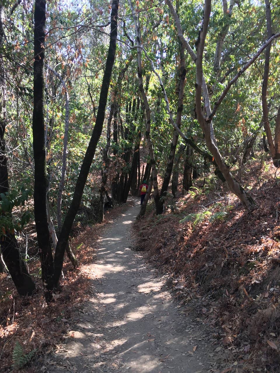 Ridge Trail Views