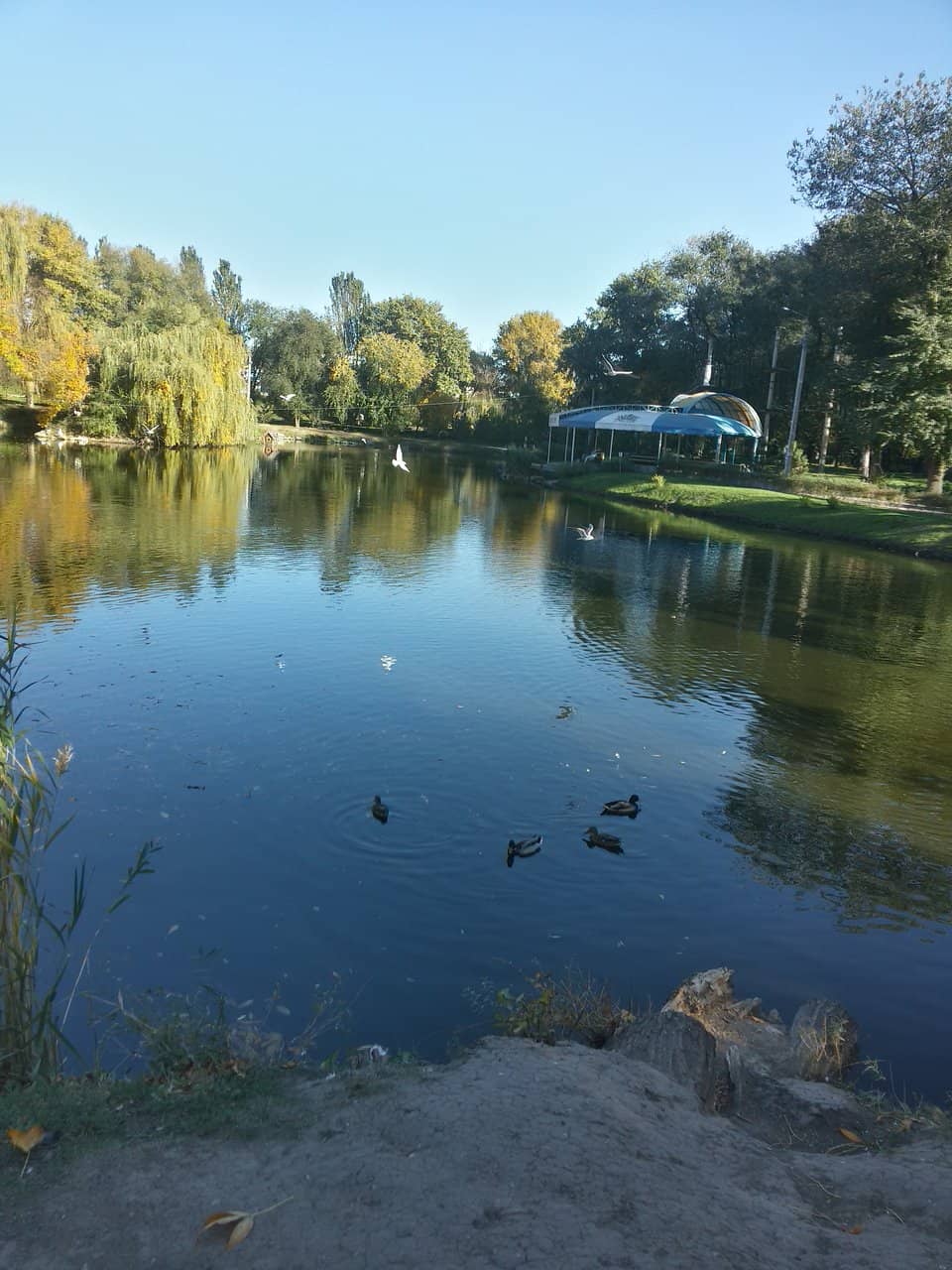 Family Amusement Zone