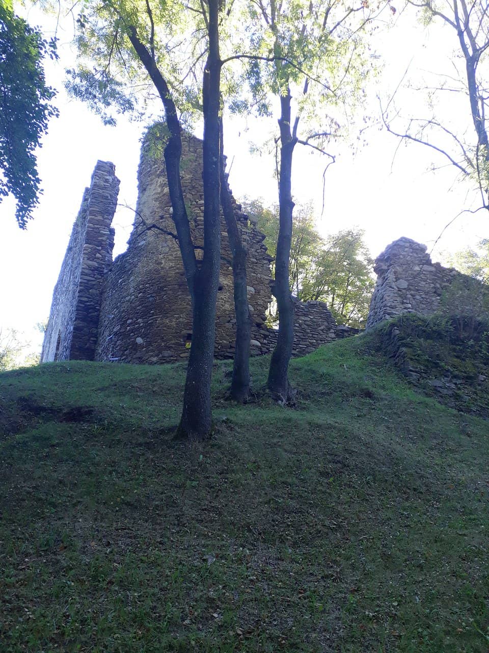 Vertical photo
