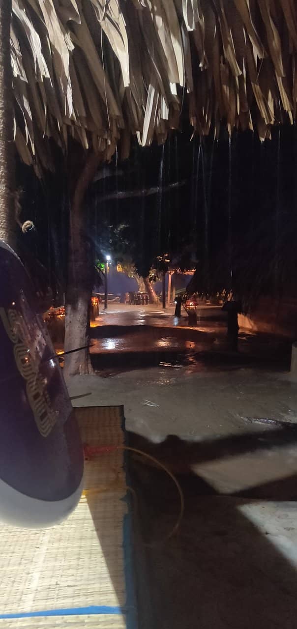 Unique Seafood Delights