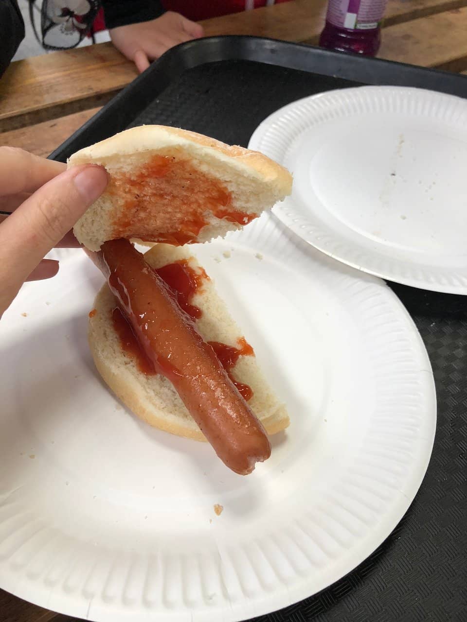 Maize Maze Adventure