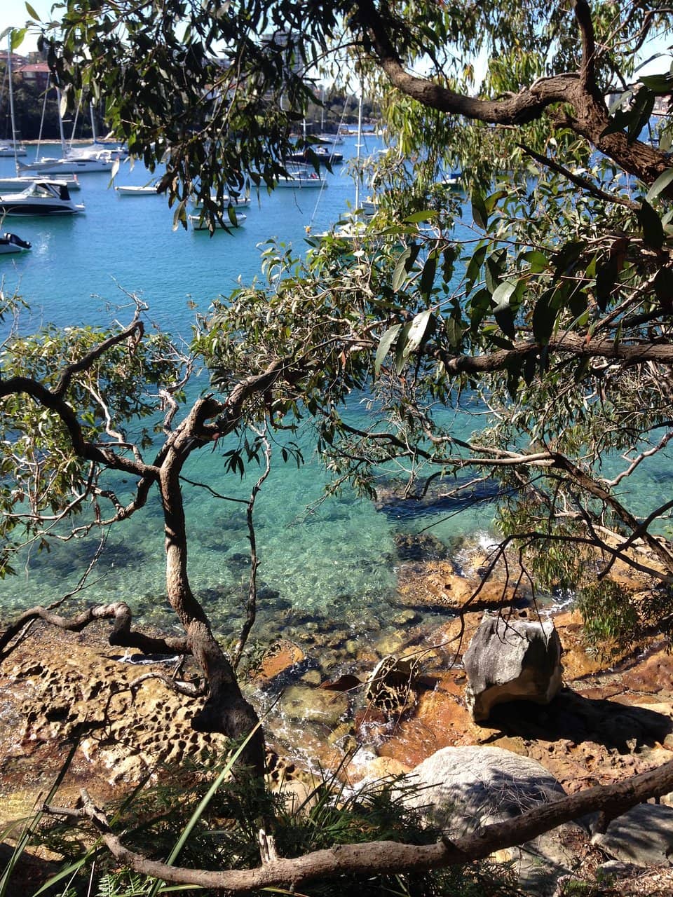 Picnic & BBQ Facilities