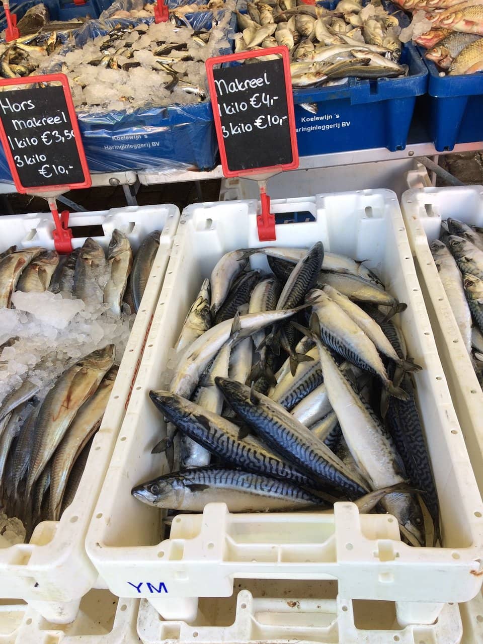 Vintage Treasures at Kilo Kilo