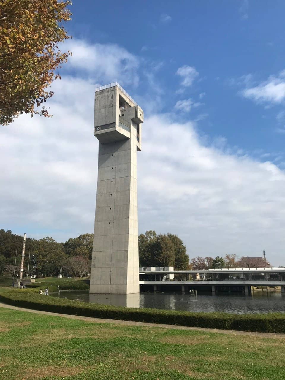 Vertical photo