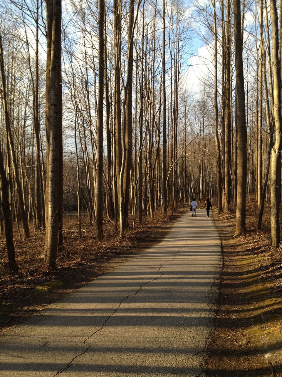 Vertical photo