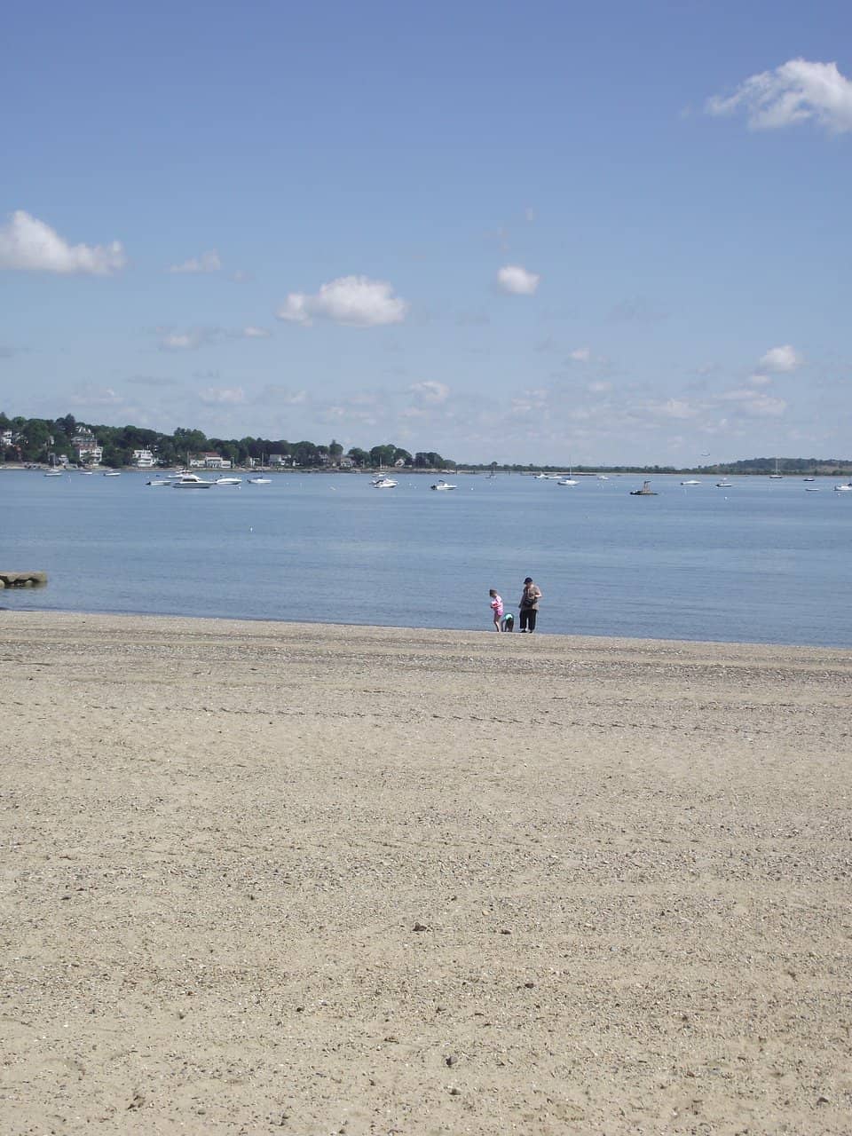 Seafood Shacks & Dining