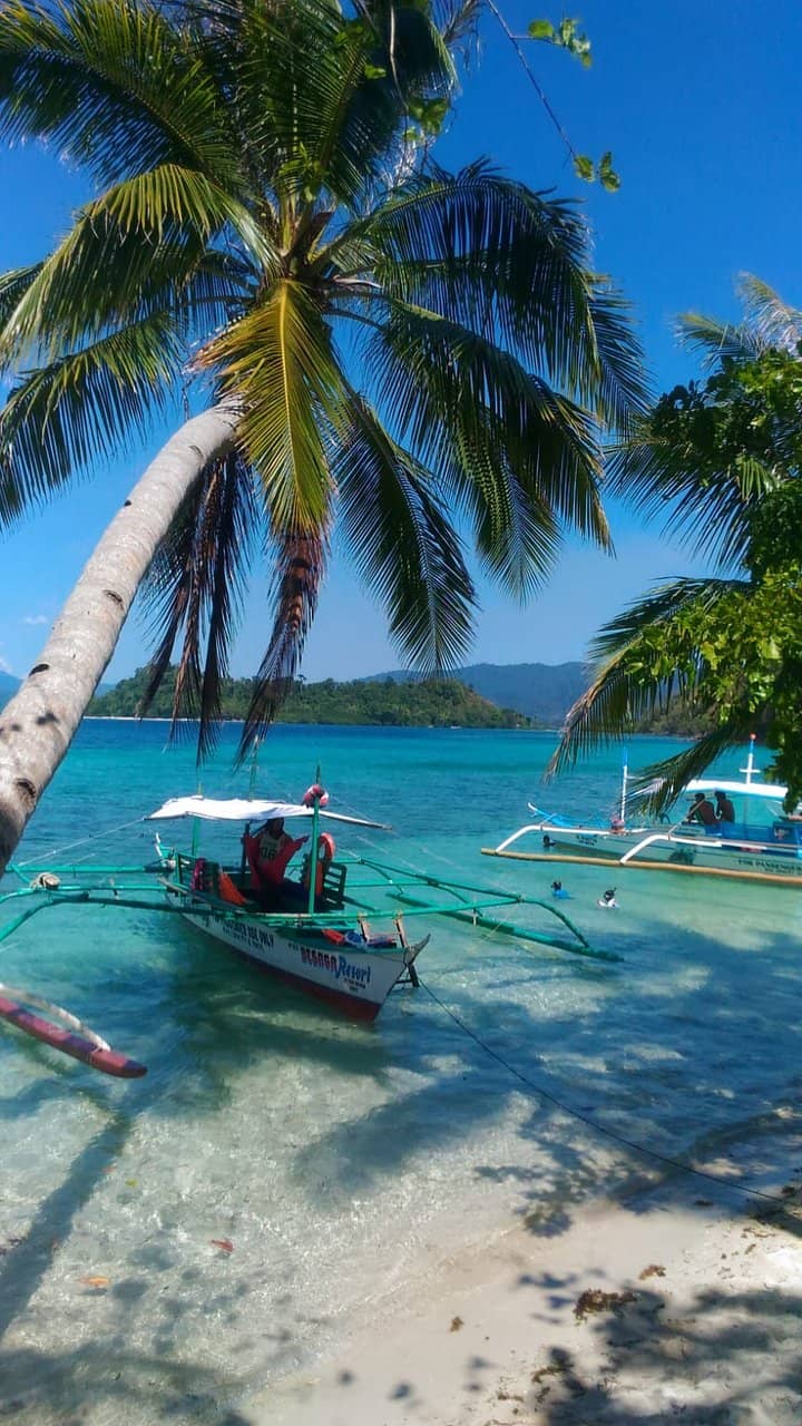 Hammock Haven
