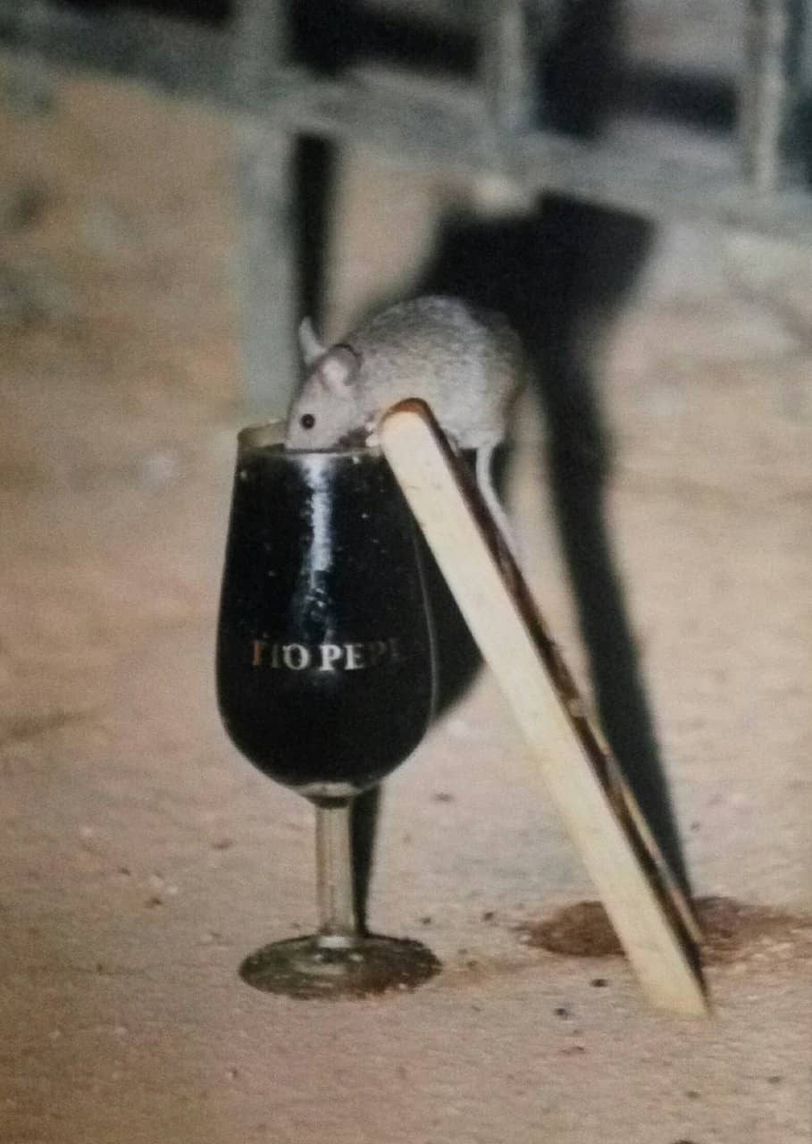 The Iconic Tío Pepe Fino