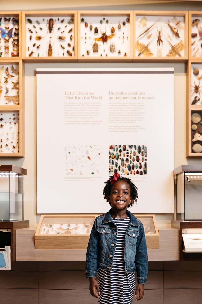 Bug Gallery