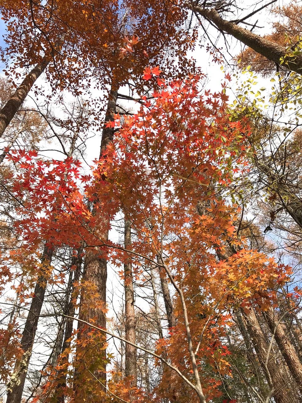 Sunset Photography Spot