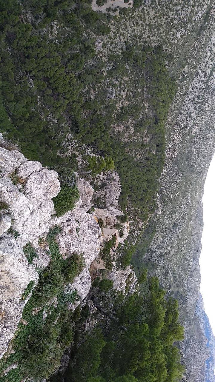 Dragonera Island Vista